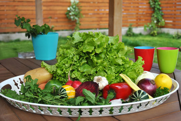 Green vegetables from garden on white tray outdoor.