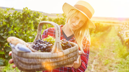 Frau mit Weintrauben im Picknickkorb