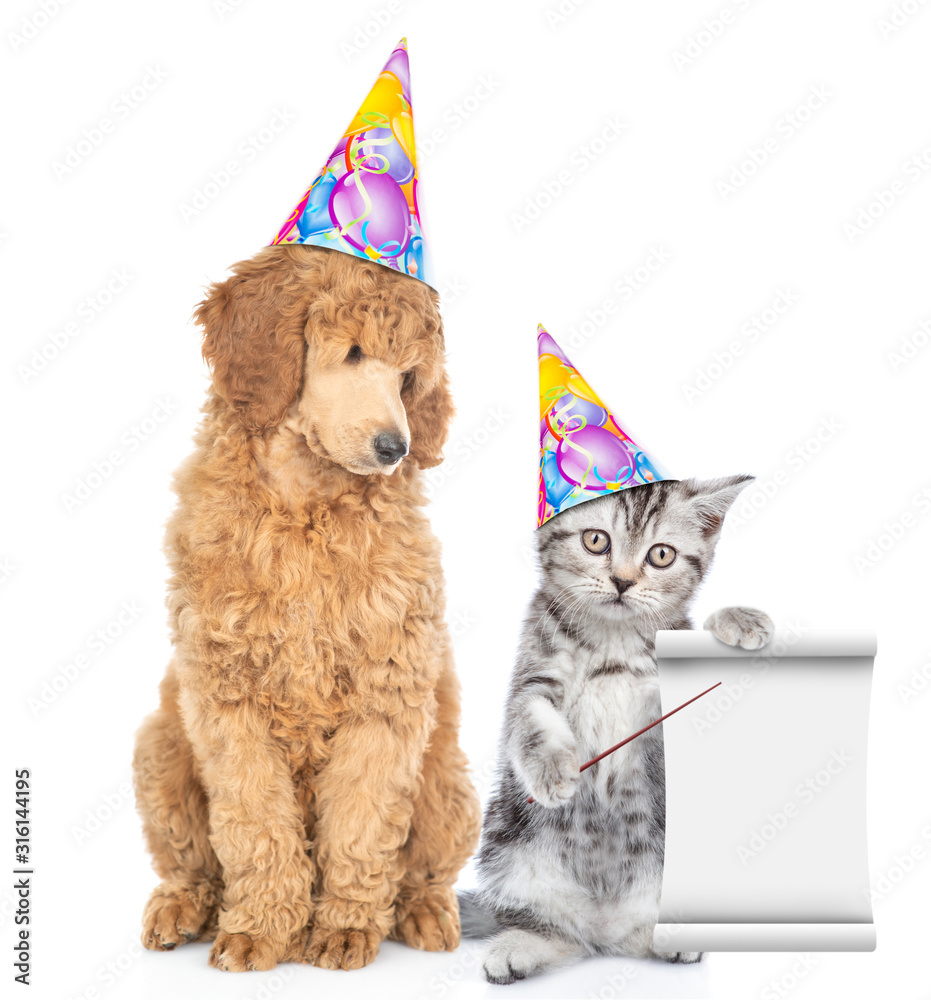 Poster Dog and cat wearing party hats.  Kitten points on empty list. isolated on white background