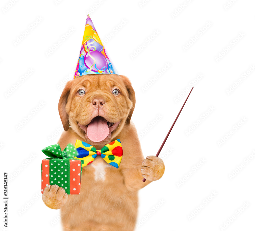 Poster funny puppy wearing a party cap and tie bow holds gift box and pointing away on empty space. isolate
