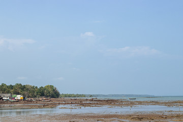 Sea coast at the time of ebb tide at Koh Libong island, Trang, Thailand.