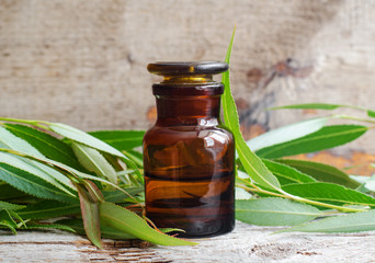 Pharmacy bottle with willow bark extract (tincture, infusion). Willow leaves close up. Old wooden background. Aromatherapy, spa and herbal medicine concept. Copy space. - obrazy, fototapety, plakaty