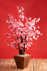 Cherry blossom background tree on red for chinese new year