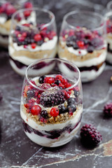 Homemade layered red berry fruit, cookie crumbs and cheesecake cream dessert in glasses