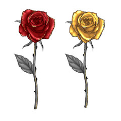 HAND DRAWN ILLUSTRATION OF LONG STEM ROSES RED AND GOLD 