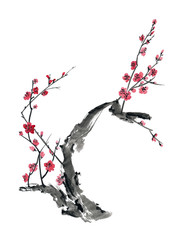 Watercolor and ink branch blossom sakura, cherry tree with flowers isolated on a white background. Hand painting on paper