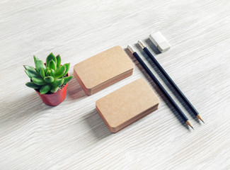 Branding stationery template. Blank brown paper business cards, pencils, eraser and succulent plant.