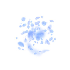 Dark blue flower petals falling down. Astonishing 