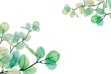  Watercolor eucalyptus leaf  frame. Floristic design elements for floristics. Hand drawn...