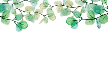 Obraz premium Watercolor eucalyptus leaf frame. Floristic design elements for floristics. Hand drawn illustration. Greeting card. Floral print. Plant painted background. For postcards, greetings, cards, logo. 