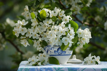 Branches of a blooming Apple tree in a white with a blue pattern pot. Still life with white flowers outdoors on a sunny day.