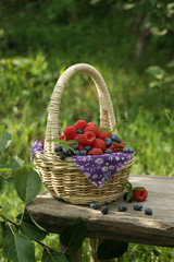 small basket full of colorful raspberries and honeysuckle on a wooden bench in a rustic style