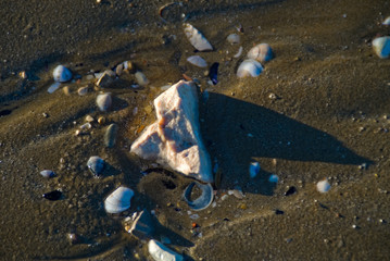 Pietra nella bassa marea