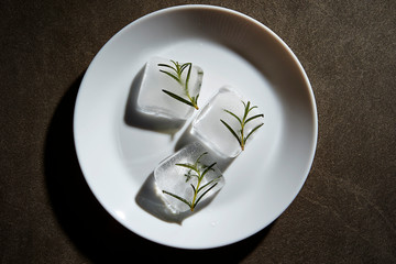 Rosemary herb in ice cube 