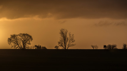  Morning in Skåne landscape around Malmö city