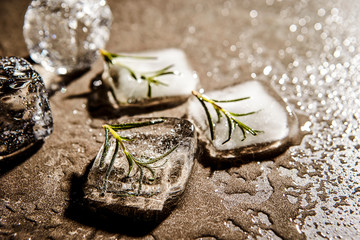Rosemary herb in ice cube 