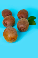 Ripe kiwi on a blue background