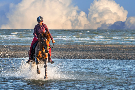 Female horse rider on horseback galloping in sea