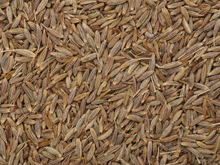 Cumin seeds texture, full frame background. Second most popular spice in the world after black pepper.