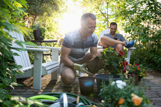 Gay Male Couple Planting Flowers On Summer Patio