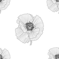 line pattern with poppies. Monochrome floral background wallpaper.