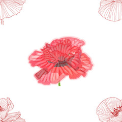 Floral background with poppies. seamless pattern. Flourish seamless textured wallpaper for greeting card.