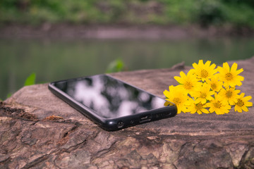 blurred sky shadow on the smarphone screen, smarthone on lay on tree stump