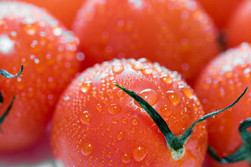 Ripe fresh orange tomatoes close up macro shot. Wet tomatoes with water droplets.
