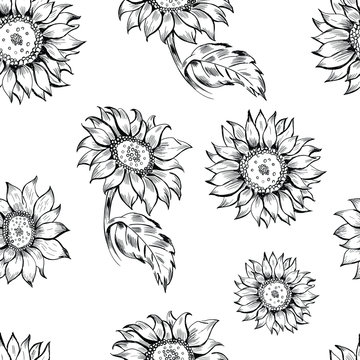 Sunflowers , botanical, nature vector seamless pattern on white background. Concept for print, web design, cards, wallpaper, wrapping paper 