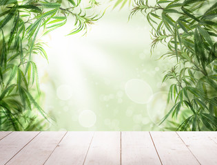 Naklejka na ściany i meble Green cannabis with wooden background, cultivation vegetation marijuana plants. Marijuana leaves and herb medicinal Border with sunlight.