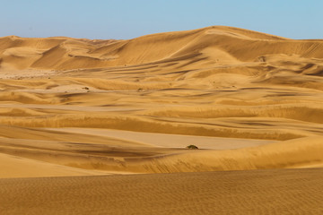 Namib Wüste 