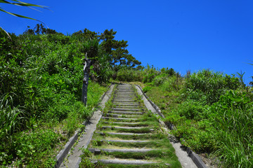 渡嘉敷島の階段