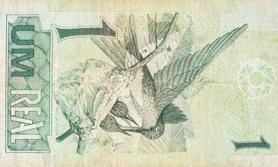 Beija flor hummingbird or colibri depicted on old one real note Brazilian money