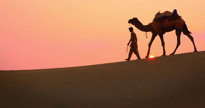 Indian cameleers (camel driver) bedouin with camels in sand dunes of Thar desert on sunset. Caravan in Rajasthan travel tourism background safari adventure. Jaisalmer, Rajasthan, India