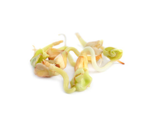 Sprouted green buckwheat grains isolated on white