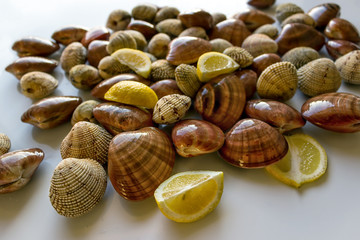 Fresh clams, raw cockles on a white table. Concept - Clean Monday, healthy food, aphrodisiac; Mediterranean Diet. Selective focus.
