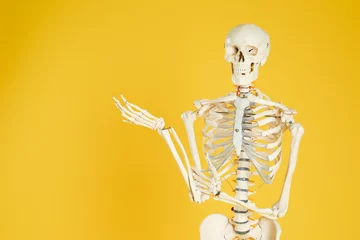 Fotobehang Artificial human skeleton model on yellow background. Space for text © New Africa