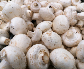 Champignon mushrooms in the store as a background