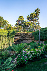 Fototapeta na wymiar Umpherston Sinkhole Garden, Mt Gambier, Australia