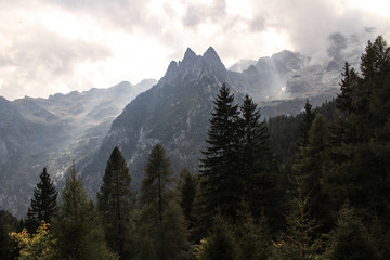 Zauberhafte Alpenlandschaft; Blick zum Punta Medaccio (Bernina-Alpen)