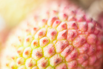 Close-up macro of lychee tropical fruit skin