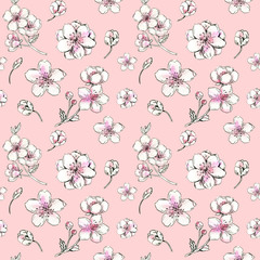 Watercolor spring flower background. Cherry blossom pink seamless pattern. Delicate flowers art. Perfect for the romantic design, valentines day, mother's day, children gender party. Sakura flowers