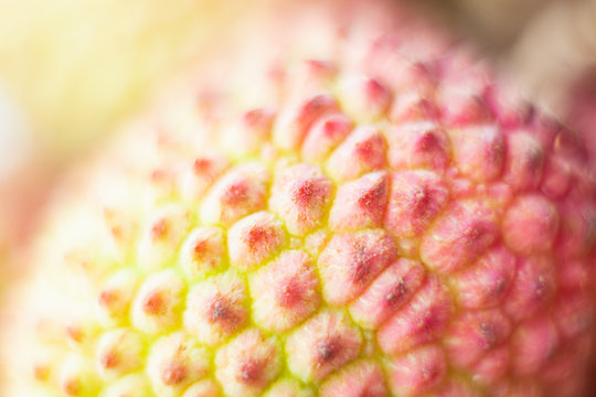 Close-up macro of lychee tropical fruit skin