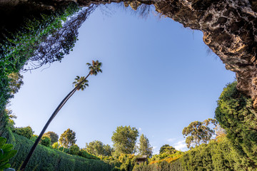 Umpherston Sinkhole Garden, Mt Gambier, Australia