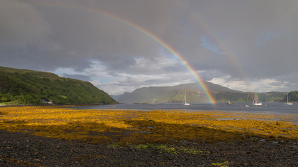 Skye Light