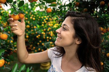 Girl looking at citrus Japonica (mandarin) in the traditional Tet holiday (Lunar new year) in Vietnam, Asia