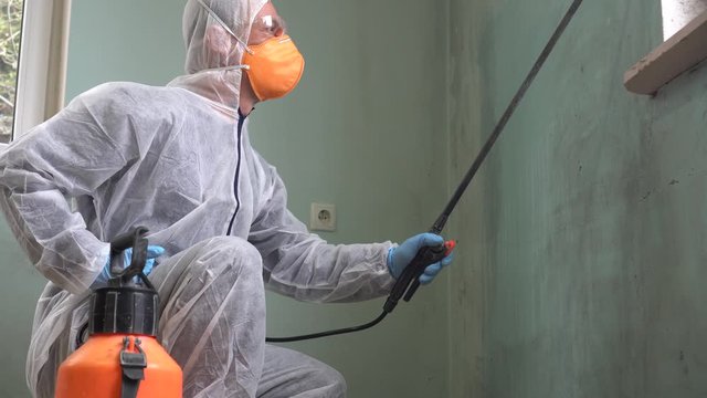 Black mold inspection and removal. A specialist in protective clothing sprays the walls of a house infected with mold. Mold and Mildew Stain Remover Spray