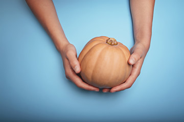 Pumpkin in female hands on a light blue background. Close-up.