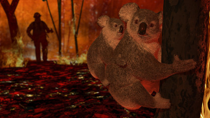 Mother koala with her baby between flames in Austrailan fires in jungle 3d rendering © bekirevren