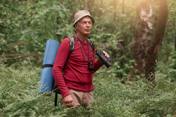 Naklejka na ściany i meble Picture of senior man looking aside attentively, wandering in forest, enjoying beautiful nature, having backpack and sleeping pad at his back, male spending time in open air. Traveling concept.